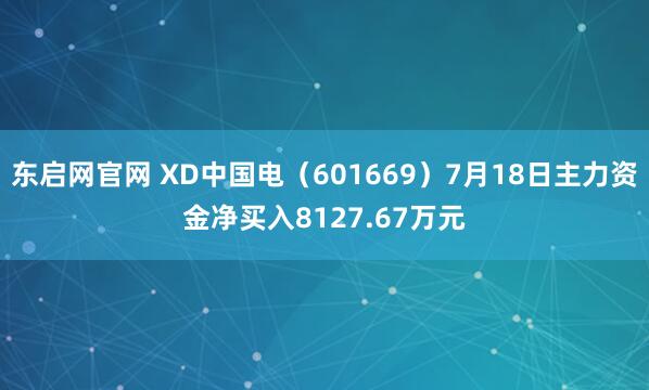 东启网官网 XD中国电（601669）7月18日主力资金净买入8127.67万元